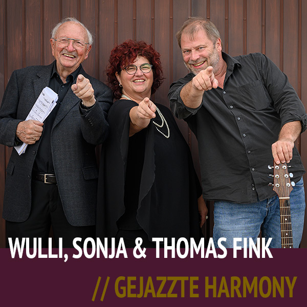 Wulli, Sonja & Thomas Fink - Gejazzte Harmony